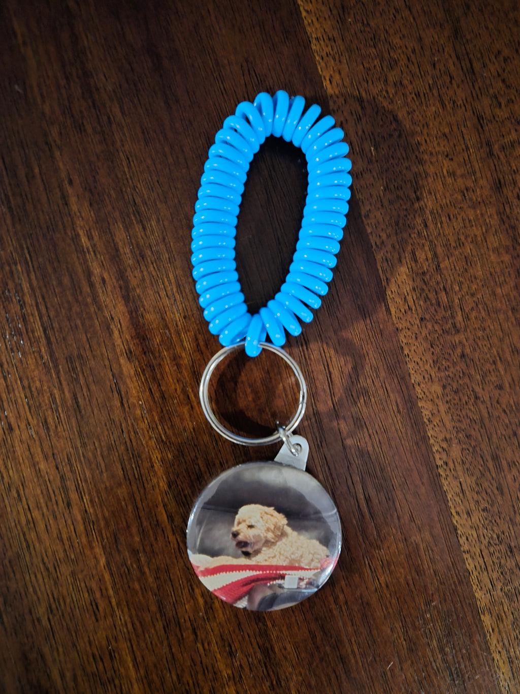 Coil Bracelet with Charm